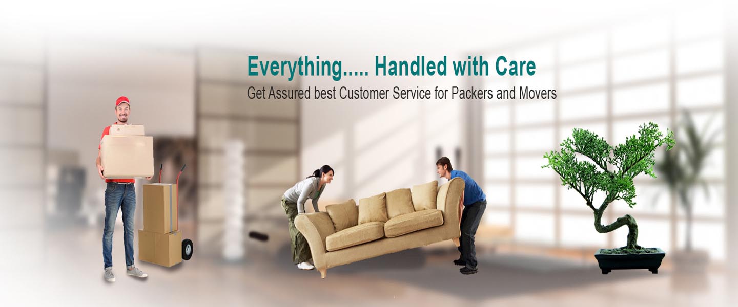 South Cargo Packers and Movers